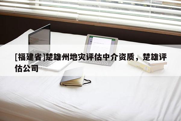 [福建省]楚雄州地災(zāi)評估中介資質(zhì)，楚雄評估公司