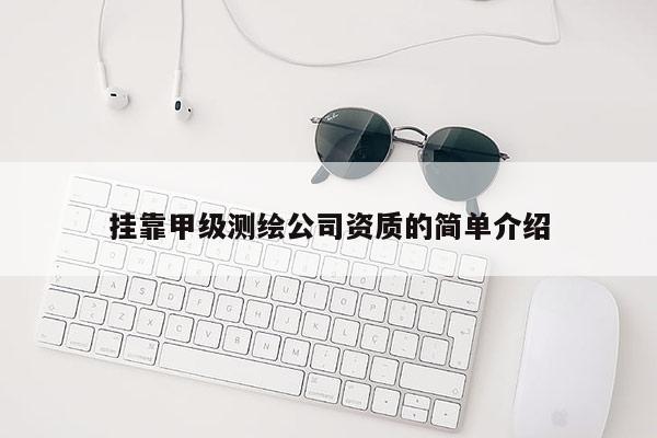 掛靠甲級測繪公司資質(zhì)的簡單介紹