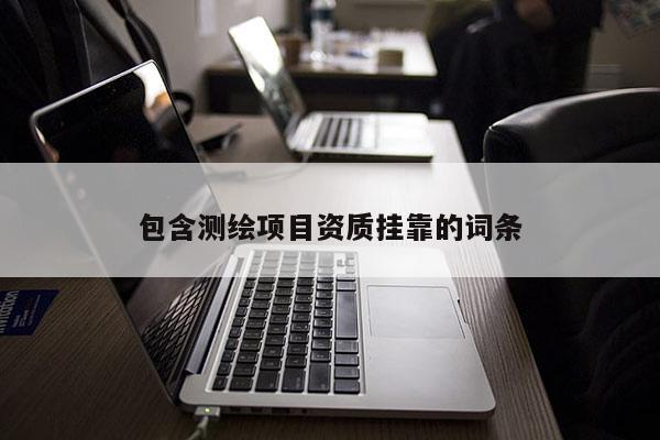 包含測繪項目資質(zhì)掛靠的詞條