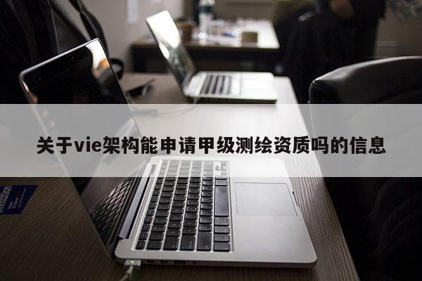 關于vie架構能申請甲級測繪資質(zhì)嗎的信息
