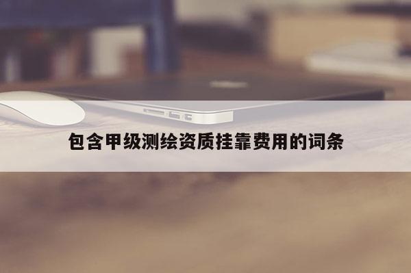 包含甲級(jí)測(cè)繪資質(zhì)掛靠費(fèi)用的詞條