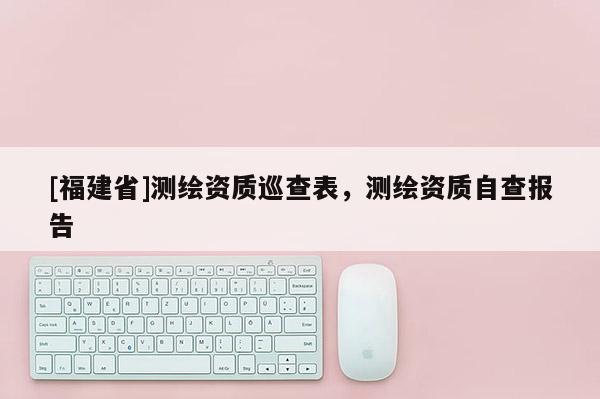[福建省]測繪資質(zhì)巡查表，測繪資質(zhì)自查報告
