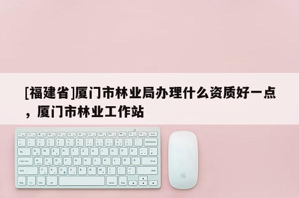 [福建省]廈門市林業(yè)局辦理什么資質(zhì)好一點，廈門市林業(yè)工作站